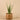 Plants-Artificial Potted Aloe-Bloomr