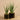 Plants-Artificial Potted Aloe-Bloomr