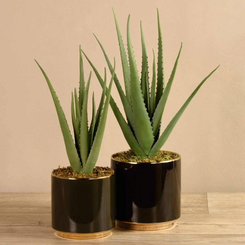 Artificial Potted Aloe - Bloomr