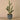 Plants-Potted Cactus-Bloomr