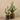 Plants-Artificial Potted Cactus-Bloomr