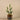 Plants-Artificial Potted Cactus-Bloomr