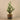 Plants-Artificial Potted Cactus-Bloomr