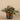 Plants-Artificial Potted Dark Vanilla Leaf Plant-Bloomr