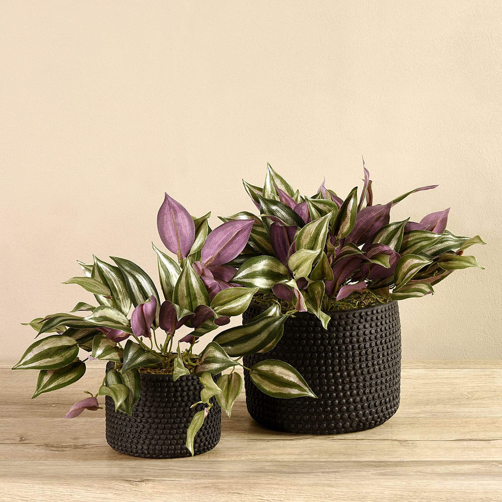 Artificial Potted Dark Vanilla Leaf Plant - Bloomr
