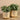 Plants-Artificial Potted Eucalyptus-Bloomr