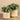 Plants-Artificial Potted Eucalyptus-Bloomr