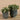 Plants-Artificial Potted Eucalyptus-Bloomr