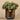 Plants-Artificial Potted Eucalyptus-Bloomr