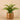 Plants-Artificial Potted Fern-Bloomr