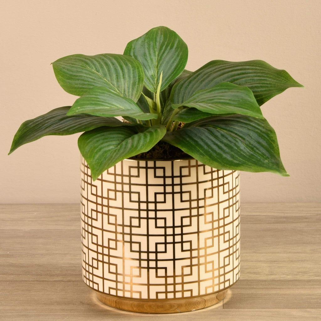 Artificial Potted Hosta - Bloomr