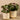 Plants-Artificial Potted Ligularia-Bloomr