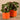 Plants-Artificial Potted Ligularia-Bloomr