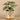 Plants-Artificial Potted Peperomia-Bloomr