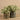 Plants-Artificial Potted Silver Falls (Discontinued)-Bloomr