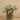 Plants-Artificial Potted Silver Falls (Discontinued)-Bloomr