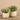 Plants-Potted Silver Fall Plant-Bloomr