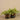 Plants-Artificial Potted Vanilla Leaf Plant-Bloomr