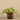 Plants-Artificial Potted Vanilla Leaf Plant-Bloomr