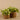 Plants-Artificial Potted Vanilla Leaf Plant-Bloomr