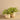 Plants-Artificial Potted Vanilla Leaf Plant-Bloomr