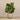 Plants-Artificial Potted Watercress-Bloomr