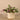 Plants-Artificial Potted Dark Vanilla Leaf Plant-Bloomr