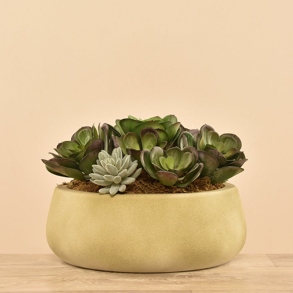 Artificial Succulent Arrangement - Bloomr
