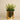 Plants-Artificial Succulent Arrangement-Bloomr