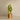 Plants-Artificial Sansevieria Plant-Bloomr