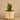 Plants-Artificial Potted Aloe-Bloomr