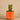 Plants-Potted Aloe-Bloomr