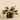 Plants-Artificial Potted Dark Vanilla Leaf Plant-Bloomr