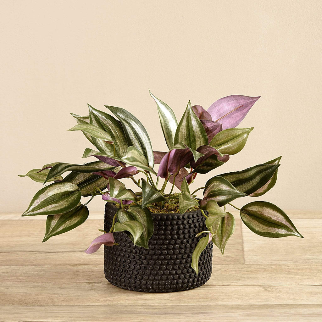 Artificial Potted Dark Vanilla Leaf Plant - Bloomr