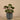 Plants-Artificial Potted Ligularia-Bloomr