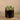 Plants-Artificial Succulent in Black Pot-Bloomr