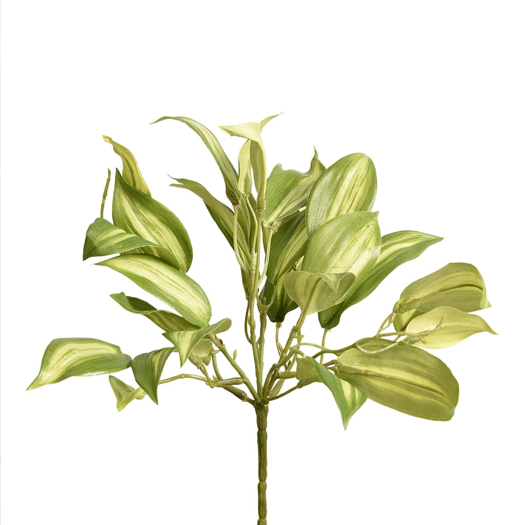 Vanilla Orchid Leaf - Bloomr