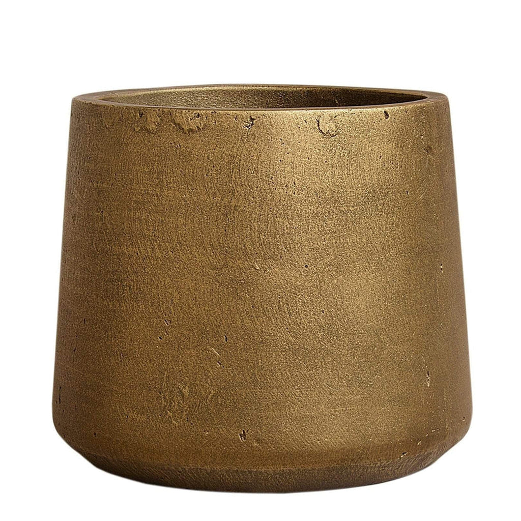Large Round Cement Tree Pot - Bloomr
