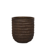 Round Ficonstone Tree Pot - Bloomr