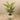 Trees-Artificial Areca Palm <br> 150cm-Bloomr