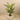 Trees-Artificial Areca Palm <br> 150cm-Bloomr