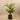 Trees-Artificial Areca Palm <br> 150cm-Bloomr