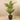 Trees-Artificial Areca Palm 180cm-Bloomr