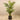 Trees-Artificial Areca Palm 180cm-Bloomr