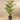 Trees-Artificial Areca Palm 210cm-Bloomr