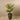 Trees-Artificial Areca Palm <br> 150cm-Bloomr