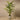 Trees-Artificial Areca Palm <br> 210cm-Bloomr