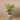 Trees-Artificial Areca Palm <br> 150cm-Bloomr