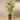 Trees-Artificial Areca Palm 210cm-Bloomr