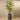 Trees-Artificial Areca Palm <br> 210cm-Bloomr